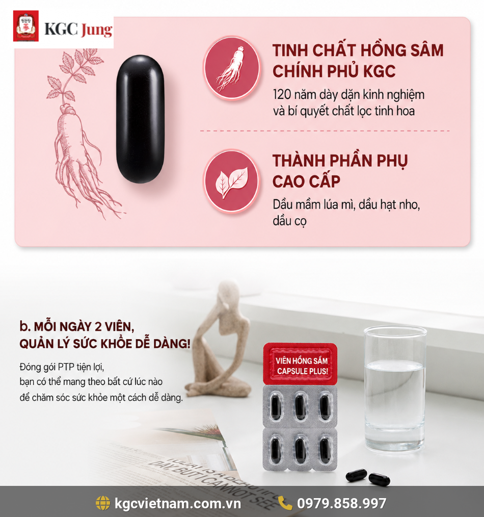 Cách Dùng Viên Hồng Sâm KGC Jung Kwan Jang Capsule Plus 120 Viên | KGC Jung Kwan Jang